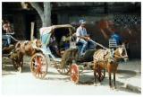 Horse carriage in the Old Town