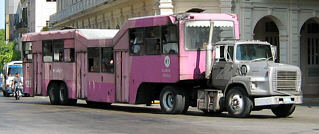 Camellio in Havanna