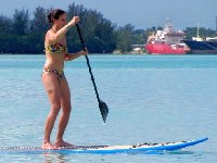 Surf und Code