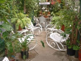 green garden