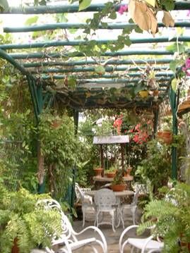 patio for cigar smokers